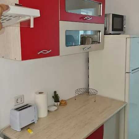 Centru Plaja Modern Lejlighed Constanţa